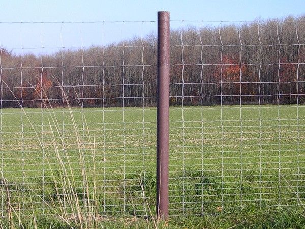 Afrekenen Werkwijze schapen Kunststof weidepaal 10 cm, BRUIN, rond met spits | Landbouwwinkel.nl, dé  agrarische webshop