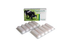 Nageboorte pil 10 x 10 gram