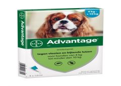 Advantage 100 hond 4 pipetten