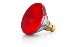 Warmtelamp EB 175W rood Philips