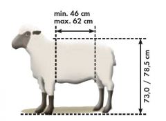 Vastzet- en behandelbox voor schapen, type L